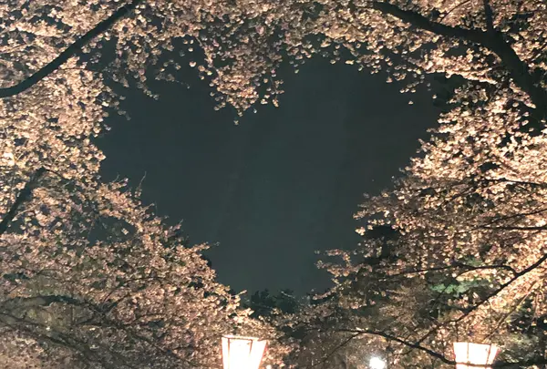 弘前城