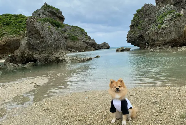 兼久ビーチ