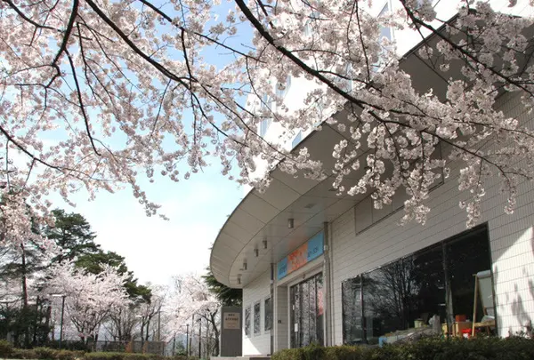 福井市自然史博物館