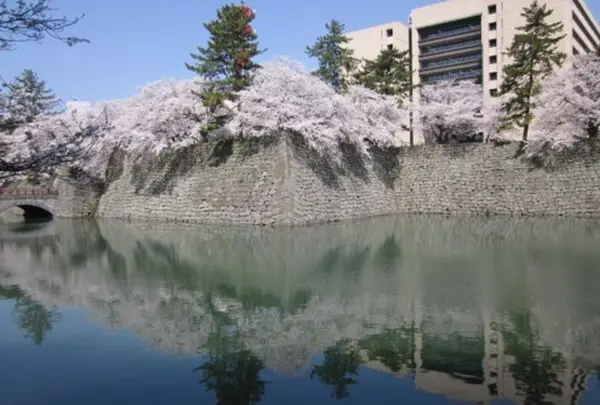 福井城址