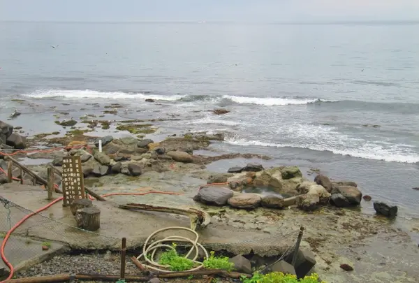 セセキ温泉