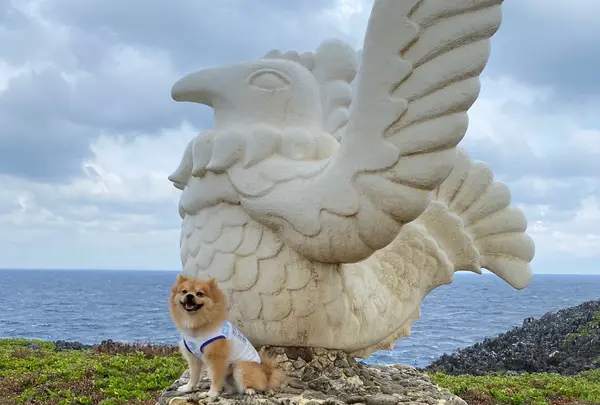 辺戸岬