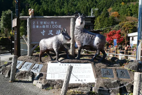 寸又峡
