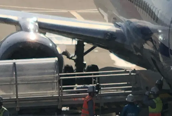 関西空港の写真・動画_image_851386