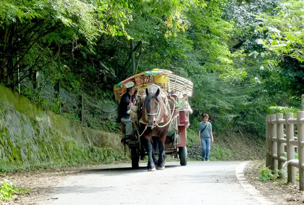 昇仙峡馬車組合事務所
