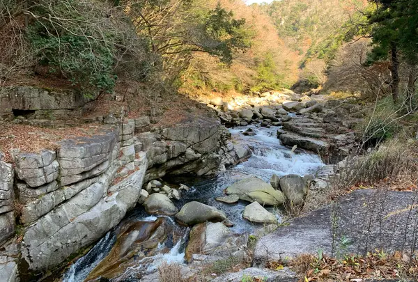 奥津渓の写真・動画_image_852982
