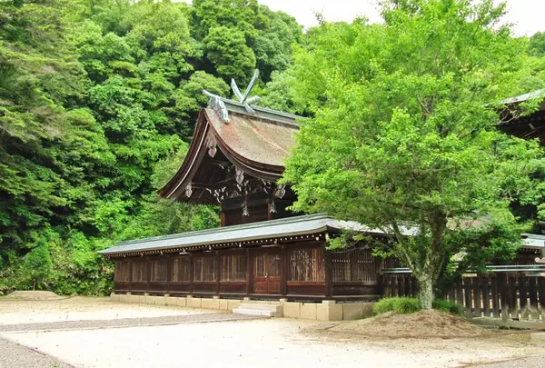吉備津彦神社の写真・動画_image_85380
