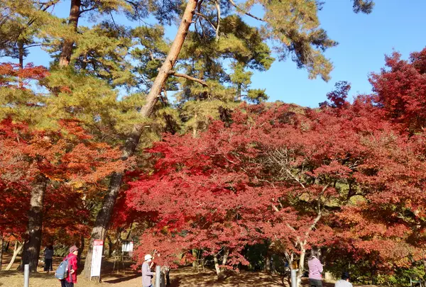 月の石もみじ公園