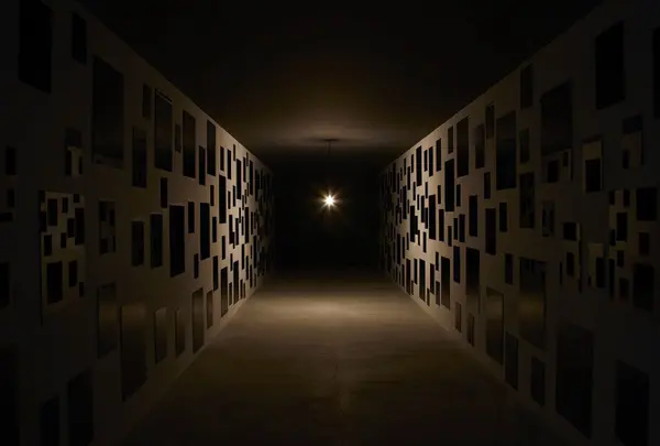 心臓音のアーカイブ