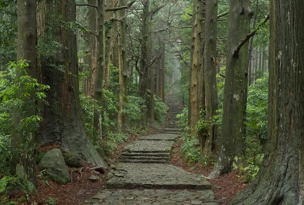 熊野古道大門坂