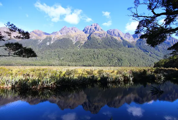 ミルフォード・トラック（Milford Trackの写真・動画_image_858018