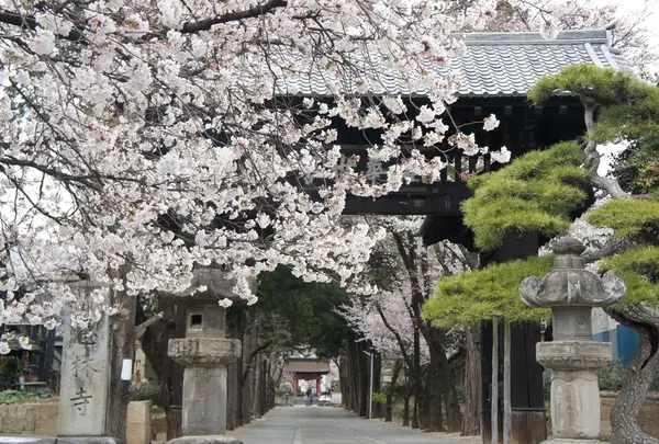 恵林寺の写真・動画_image_85962