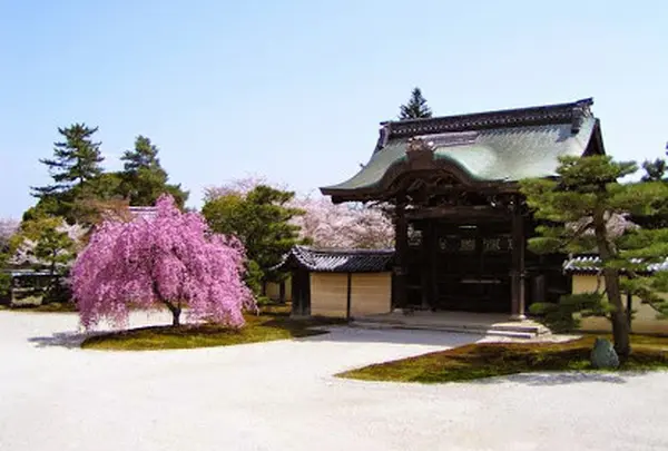 旧嵯峨御所大本山「大覚寺門跡」