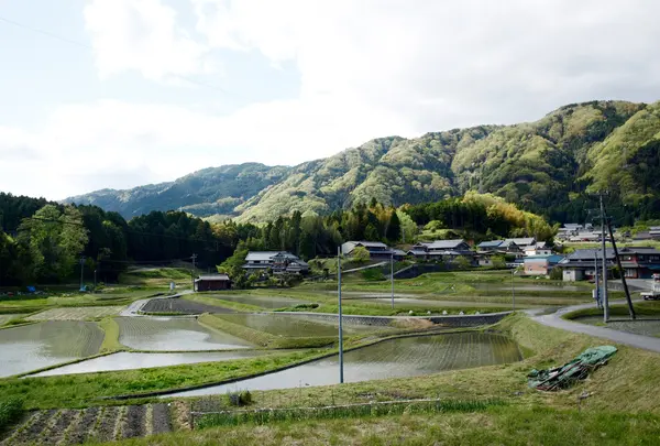 美しい田んぼの風景の写真・動画_image_86092