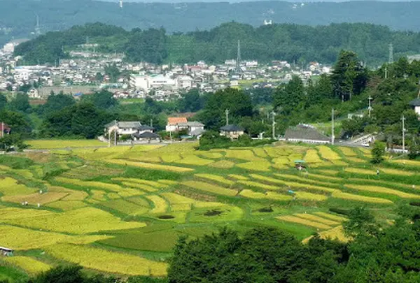 寺坂棚田