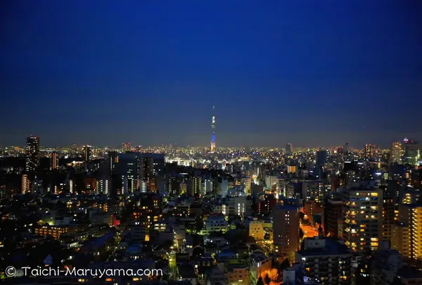文京シビックセンター展望ラウンジの写真・動画_image_86159