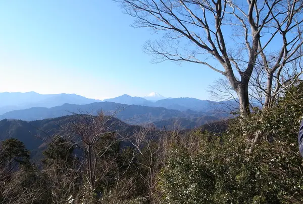 高尾山