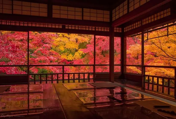 瑠璃光院