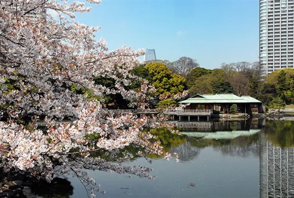 浜離宮恩賜庭園
