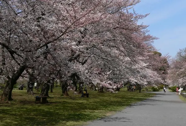 小石川後楽園
