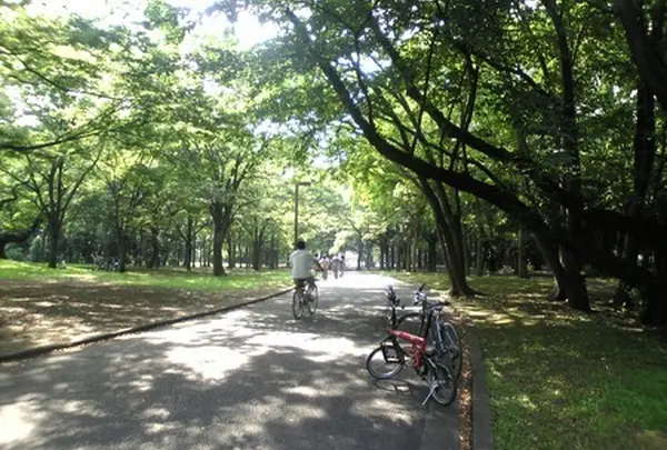 代々木公園