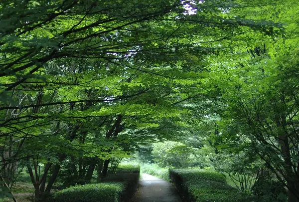 北の丸公園