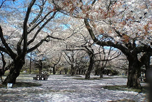 都立小金井公園