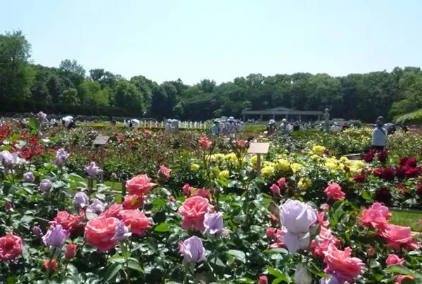 神代植物公園