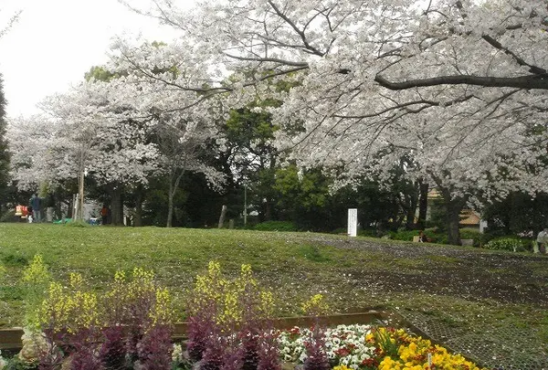 西郷山公園
