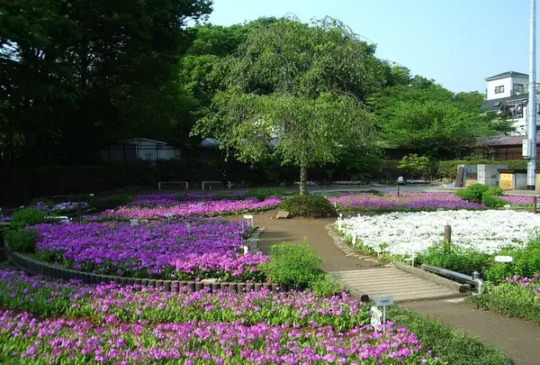 都立浮間公園