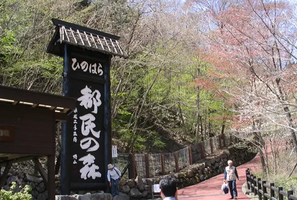 都民の森