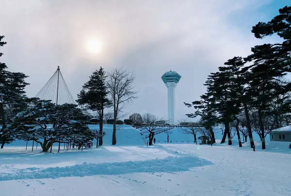 五稜郭公園