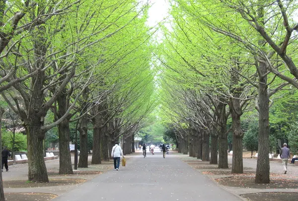 光が丘公園