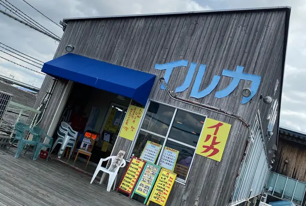 イルカ
