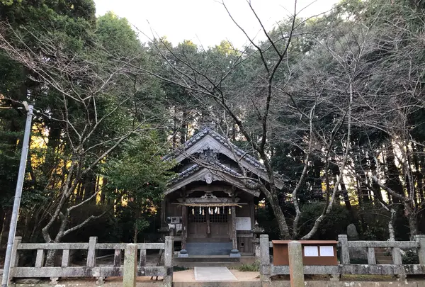 神在神社の写真・動画_image_867849