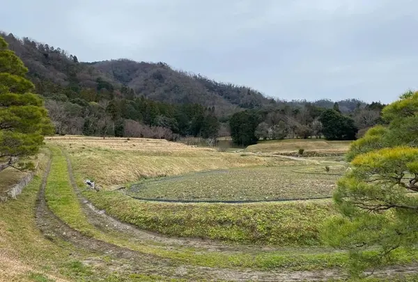 修学院離宮の写真・動画_image_867924