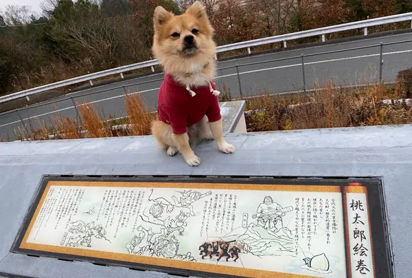 吉備SA (下り)
