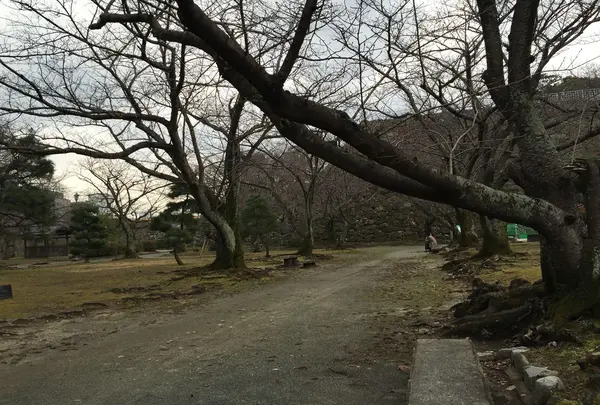 福岡城 本丸御殿跡