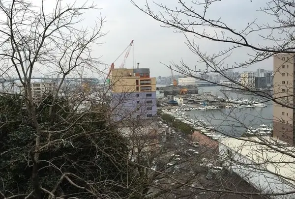 波奈の港