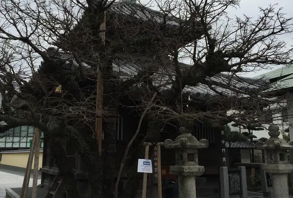 恵光院燈籠堂