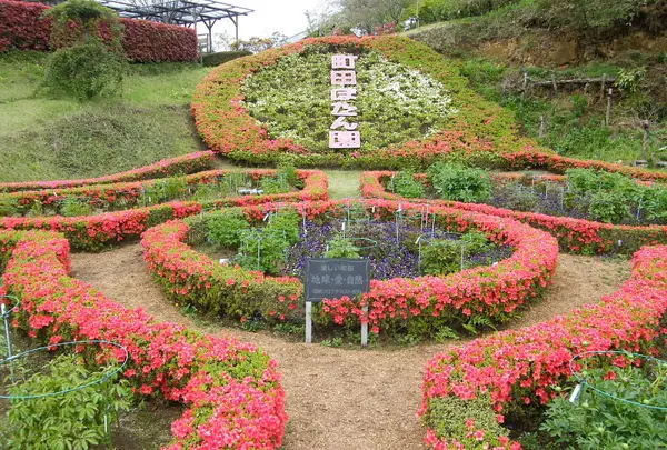 4月　町田ぼたん園