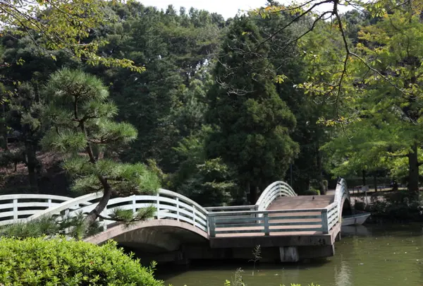 薬師池公園