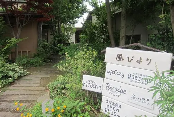 風びより