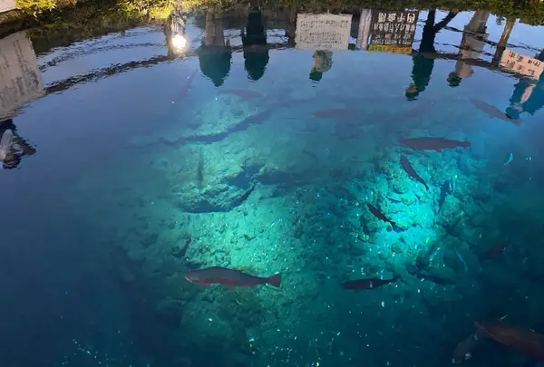 忍野八海
