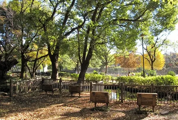 戸山公園（交通公園）
