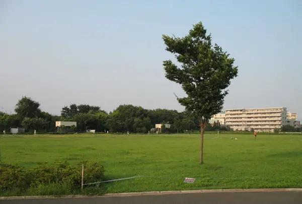 平和の森公園