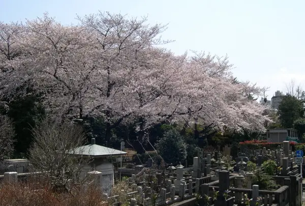 染井霊園