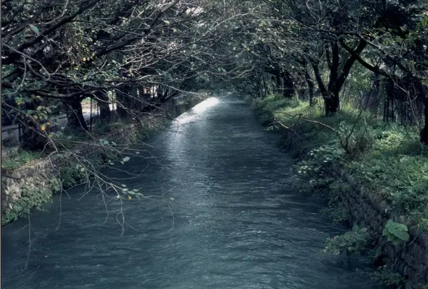 玉川上水