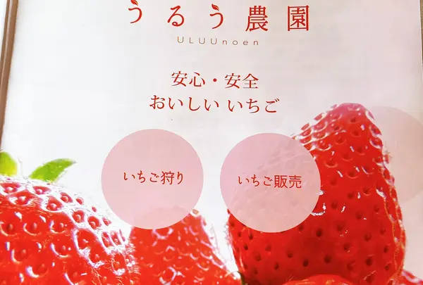 うるう農園（いちご狩り、いちご直販）