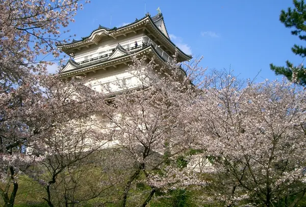 小田原城址公園
